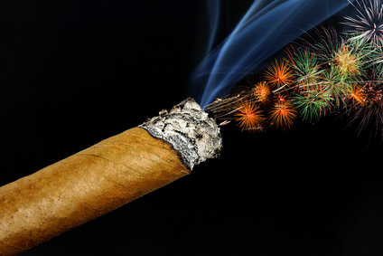 neujahrszigarre mit feuerwerk